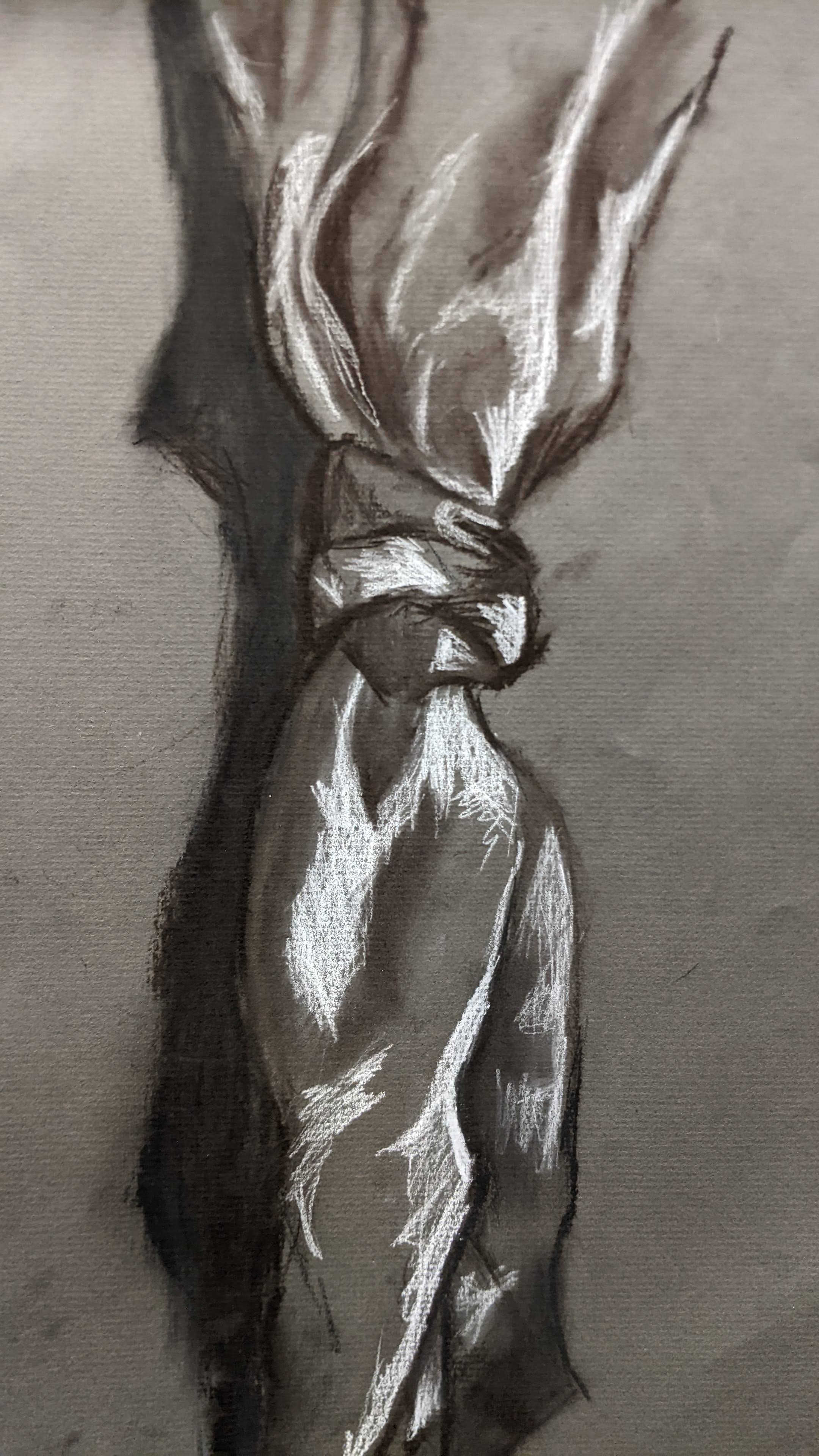 Charcoal Drawing Study